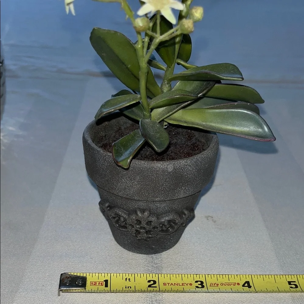Bella Lux Bathroom Accessories Set Of Two Silver Tumbler Plus A Planter